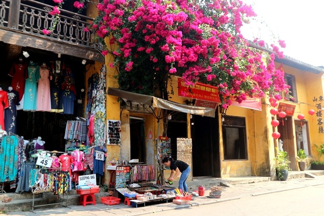 Hoa giấy ở Hội An Hoa giấy ở Hội An