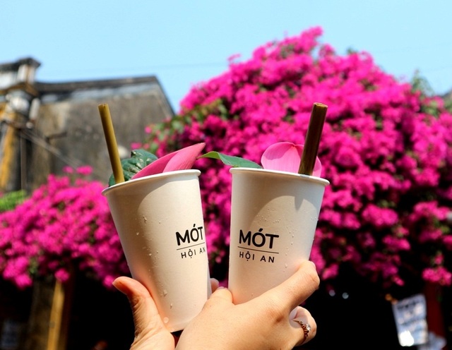 Hoa giấy ở Hội An Hoa giấy ở Hội An