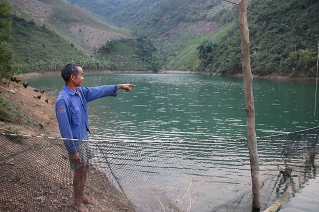 Ngăn hồ sông Đà nuôi cá, lãi hàng trăm triệu/năm - 4 Ngăn hồ sông Đà nuôi cá, lãi hàng trăm triệu/năm - 4