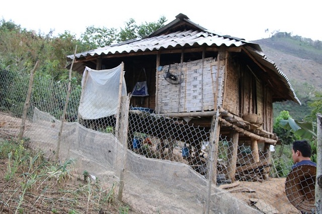 Ngăn hồ sông Đà nuôi cá, lãi hàng trăm triệu/năm - 6 Ngăn hồ sông Đà nuôi cá, lãi hàng trăm triệu/năm - 6