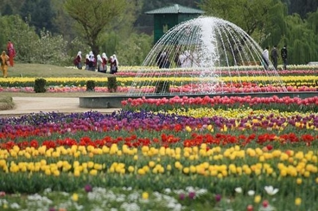 Vòng quanh thế giới ngắm những vườn tulip vạn người mê 3.jpg Vòng quanh thế giới ngắm những vườn tulip vạn người mê 3.jpg