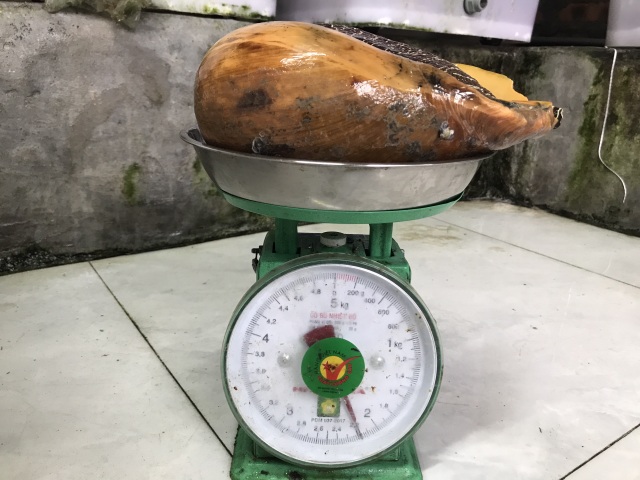octulon8.jpg octulon8.jpg