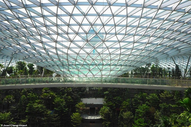 Sân bay Singapore mở cửa khu rừng và thác nước nhân tạo lớn nhất thế giới - 4 Sân bay Singapore mở cửa khu rừng và thác nước nhân tạo lớn nhất thế giới - 4