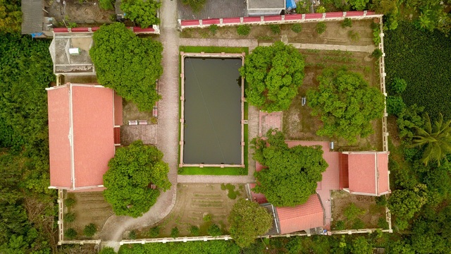 B&iacute; ẩn c&acirc;y vải tổ 200 năm được x&aacute;c lập kỷ lục l&acirc;u đời nhất Việt Nam - 1