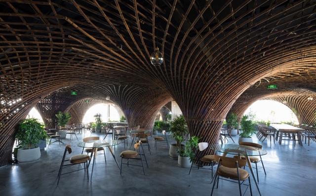 Nocenco cafe_Lowres_1.jpg Nocenco cafe_Lowres_1.jpg