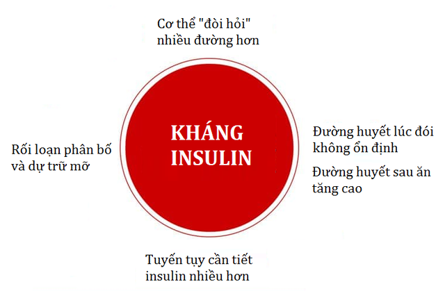 Bệnh tiểu đường type 2 và những điều thể bạn chưa biết - 4 Bệnh tiểu đường type 2 và những điều thể bạn chưa biết - 4