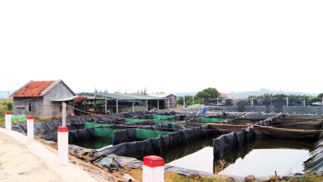 Mạnh tay xử lý dứt điểm tình trạng xâm hại danh thắng Quốc gia đầm Ô Loan - 1 Mạnh tay xử lý dứt điểm tình trạng xâm hại danh thắng Quốc gia đầm Ô Loan - 1