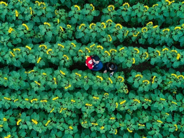 Tác phẩm của nhiếp ảnh gia người Việt lọt top 12 bức đẹp nhất trên National Geographic - 1