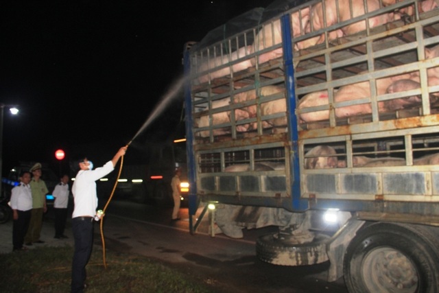 Các tỉnh phía Nam rốt ráo chặn dịch tả châu Phi - 3 Các tỉnh phía Nam rốt ráo chặn dịch tả châu Phi - 3