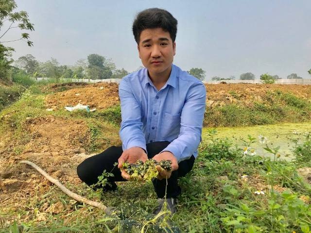 9X nuôi con siêu đẻ chỉ ăn bèo, lá cây mà kiếm 300 triệu/năm - 1 9X nuôi con siêu đẻ chỉ ăn bèo, lá cây mà kiếm 300 triệu/năm - 1