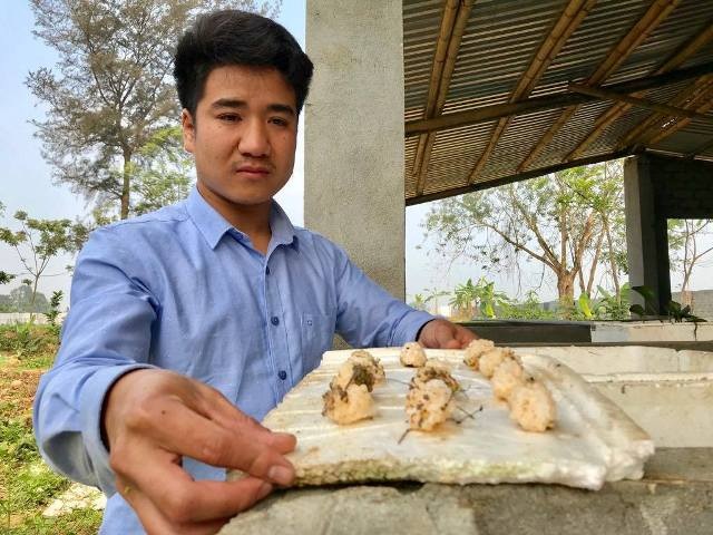 9X nuôi con siêu đẻ chỉ ăn bèo, lá cây mà kiếm 300 triệu/năm - 6 9X nuôi con siêu đẻ chỉ ăn bèo, lá cây mà kiếm 300 triệu/năm - 6