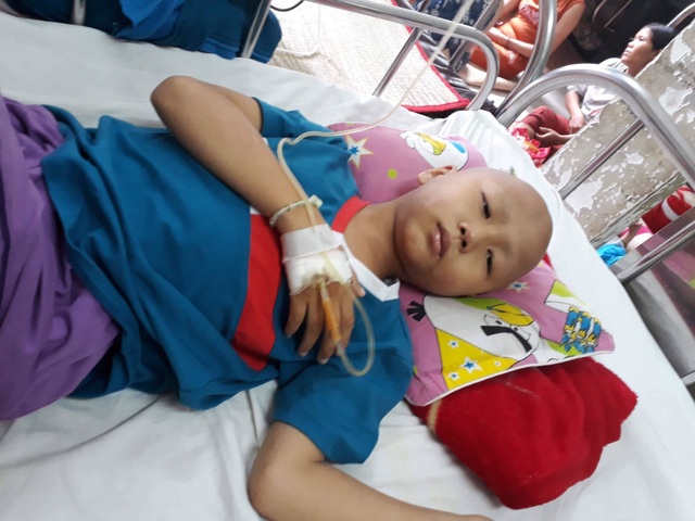 thái trường (9).jpg thái trường (9).jpg