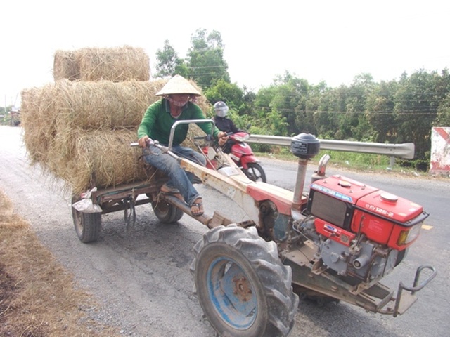 Rơm “đắt xắt ra miếng”, nông dân thu tiền triệu mỗi ngày - 2 Rơm “đắt xắt ra miếng”, nông dân thu tiền triệu mỗi ngày - 2