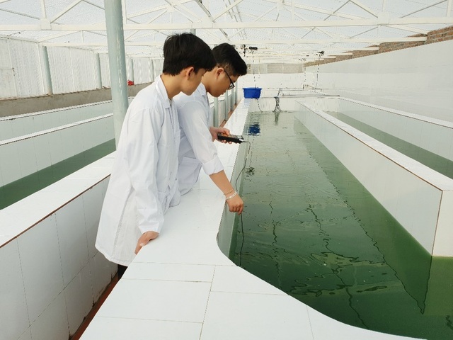 Tiến sỹ 8X tiếp lửa đam mê với ngành thủy sản - 3 Tiến sỹ 8X tiếp lửa đam mê với ngành thủy sản - 3