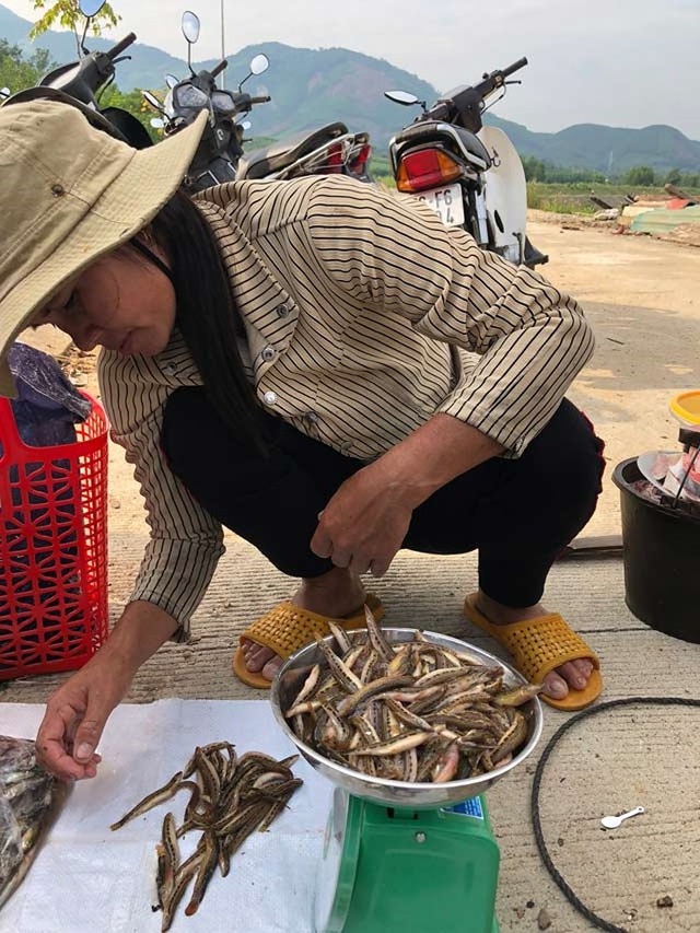 Tứ độc đặc sản cá cực hiếm ở miền núi, có tiền cũng khó mua - 12 Tứ độc đặc sản cá cực hiếm ở miền núi, có tiền cũng khó mua - 12