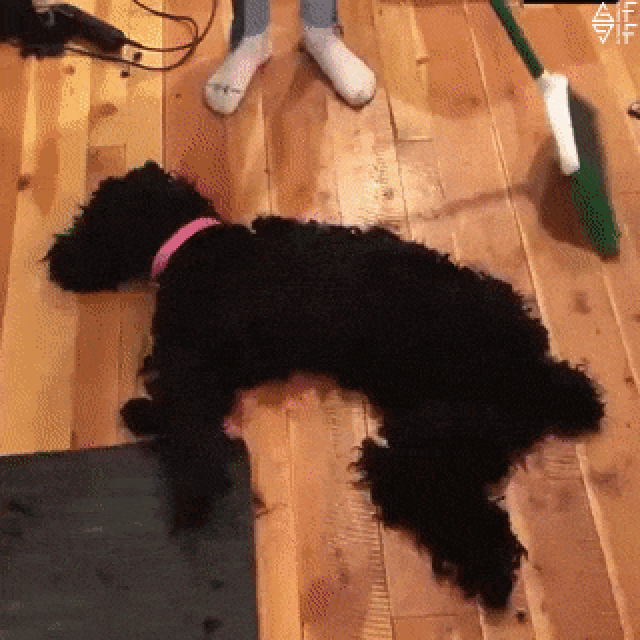 anh-dong-hai-huoc-9.gif anh-dong-hai-huoc-9.gif