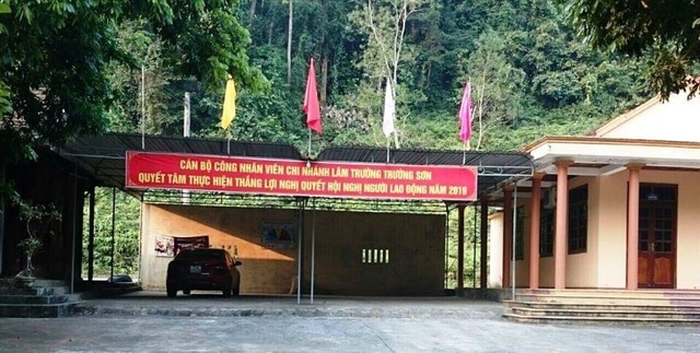 Phát hiện thêm một vụ phá rừng nghiêm trọng tại Quảng Bình - 2 Phát hiện thêm một vụ phá rừng nghiêm trọng tại Quảng Bình - 2