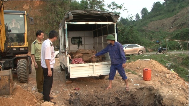 Tiêu hủy hơn 500 kg cá Tầm không rõ nguồn gốc - 1 Tiêu hủy hơn 500 kg cá Tầm không rõ nguồn gốc - 1