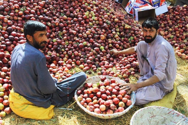 Pakistan - Vùng đất bất an đầy quyến rũ qua bộ ảnh của du khách Việt - 13