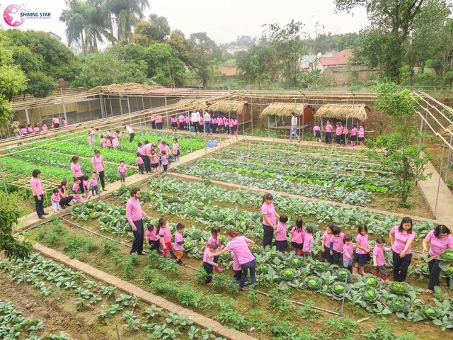 Lo âu lợn nhiễm sán, các trường mầm non đối phó ra sao? - 3 Lo âu lợn nhiễm sán, các trường mầm non đối phó ra sao? - 3