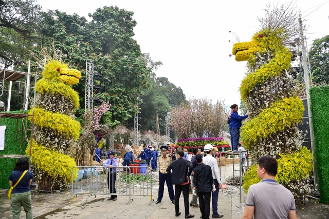 Hoa anh đào Nhật Bản khoe sắc giữa lòng Hà Nội - 3 Hoa anh đào Nhật Bản khoe sắc giữa lòng Hà Nội - 3