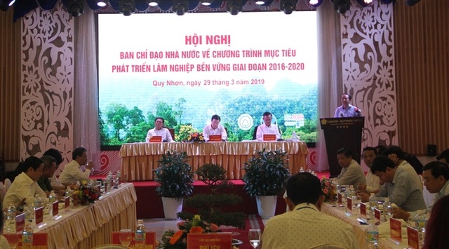Phó Thủ tướng: Duy trì đóng cửa rừng để giữ rừng - 1 Phó Thủ tướng: Duy trì đóng cửa rừng để giữ rừng - 1