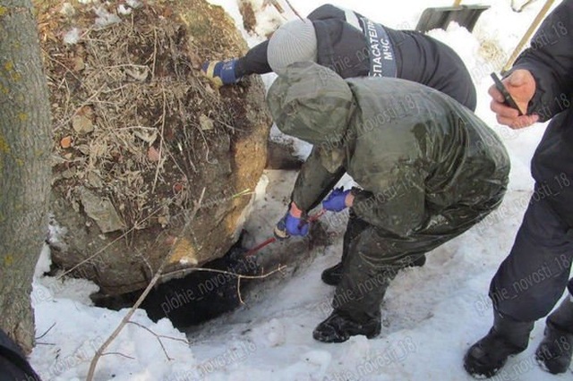 Nga: Tìm thấy xác ướp người đàn ông mất tích trong hang gấu nâu - Ảnh minh hoạ 2