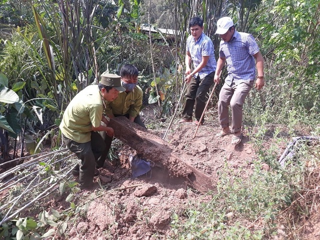 Phát hiện 3 hầm giấu gỗ nghi là tang vật vụ phá rừng ở Phong Nha - Kẻ Bàng - 2 Phát hiện 3 hầm giấu gỗ nghi là tang vật vụ phá rừng ở Phong Nha - Kẻ Bàng - 2