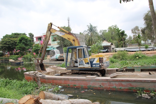 may moc nam phoi nang.JPG may moc nam phoi nang.JPG