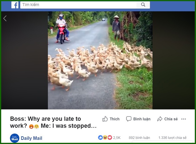 8.jpg 8.jpg
