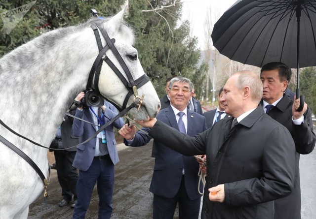 Những món quà bốn chân đặc biệt của Tổng thống Nga Putin - 2 Những món quà bốn chân đặc biệt của Tổng thống Nga Putin - 2