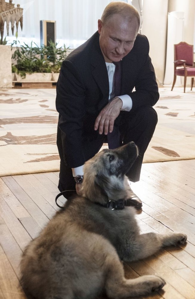 Những món quà bốn chân đặc biệt của Tổng thống Nga Putin - 8 Những món quà bốn chân đặc biệt của Tổng thống Nga Putin - 8