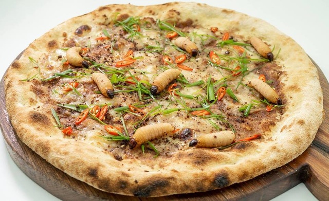 Sởn gai ốc với món pizza đuông dừa bò lổm ngổm tại Hà Nội - 1 Sởn gai ốc với món pizza đuông dừa bò lổm ngổm tại Hà Nội - 1