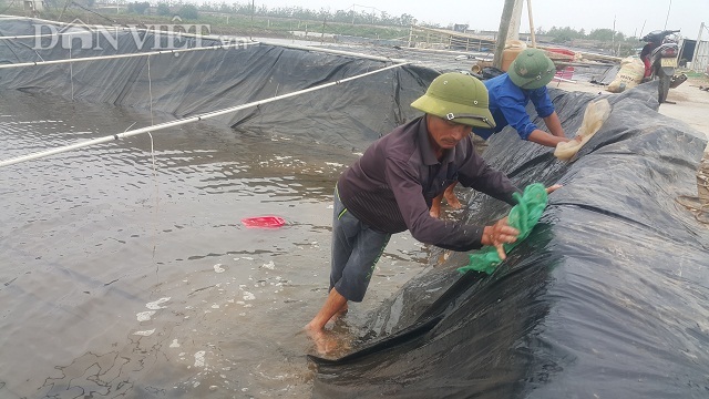 Nghề lạ ở Ninh Bình: Cân cát lấy tiền, cứ 1 kg bán hơn 1 triệu đồng - 2 Nghề lạ ở Ninh Bình: Cân cát lấy tiền, cứ 1 kg bán hơn 1 triệu đồng - 2