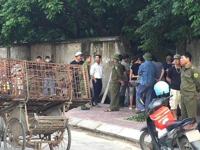 Thả rông đàn chó cắn chết người, chủ nuôi có thể bị phạt đến mấy năm tù? - 2 Thả rông đàn chó cắn chết người, chủ nuôi có thể bị phạt đến mấy năm tù? - 2