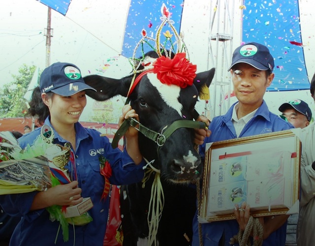 Hành trình 61 năm của những triệu phú trên nông trường Mộc Châu - 2 Hành trình 61 năm của những triệu phú trên nông trường Mộc Châu - 2