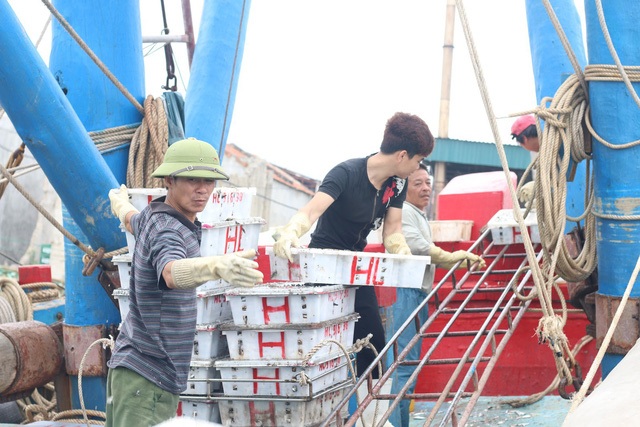 Ngư dân Nghệ An kể chuyện đời đi biển - 2 Ngư dân Nghệ An kể chuyện đời đi biển - 2