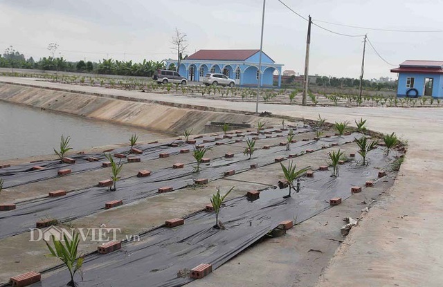 Vứt 80 tỷ xuống “sông cá”, bắt 1 lứa dân cả tỉnh ăn không hết - 2 Vứt 80 tỷ xuống “sông cá”, bắt 1 lứa dân cả tỉnh ăn không hết - 2