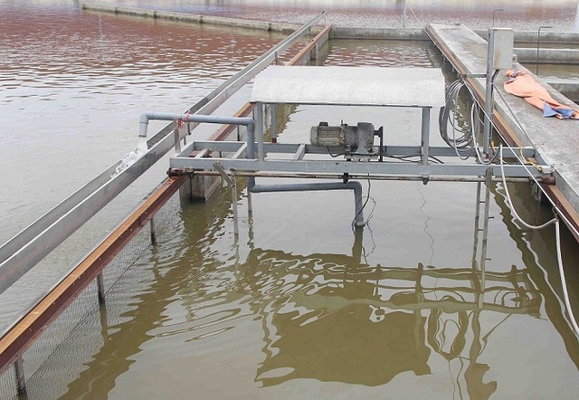 Vứt 80 tỷ xuống “sông cá”, bắt 1 lứa dân cả tỉnh ăn không hết - 5 Vứt 80 tỷ xuống “sông cá”, bắt 1 lứa dân cả tỉnh ăn không hết - 5