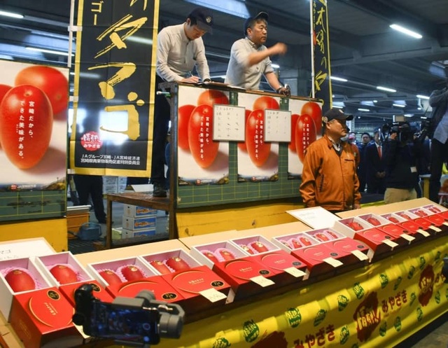 Siêu phẩm cặp xoài “trứng mặt trời” có giá hơn 100 triệu đồng - 1 Siêu phẩm cặp xoài “trứng mặt trời” có giá hơn 100 triệu đồng - 1