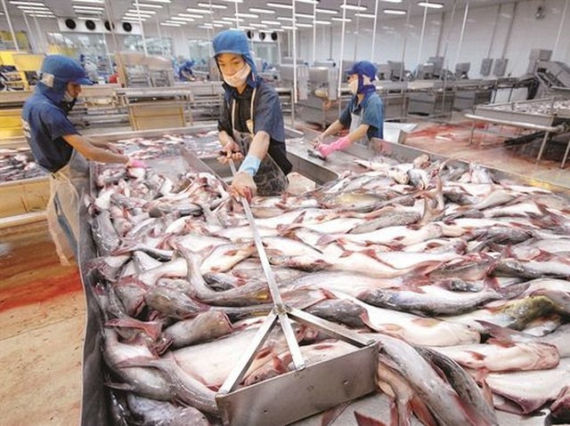 Muốn gỡ “thẻ vàng” thủy sản, phải giám sát hành trình tàu cá - 1 Muốn gỡ “thẻ vàng” thủy sản, phải giám sát hành trình tàu cá - 1