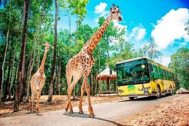Liên tiếp thú hiếm sinh nở tại “ngôi nhà động vật năm châu” Vinpearl Safari - 10 Liên tiếp thú hiếm sinh nở tại “ngôi nhà động vật năm châu” Vinpearl Safari - 10