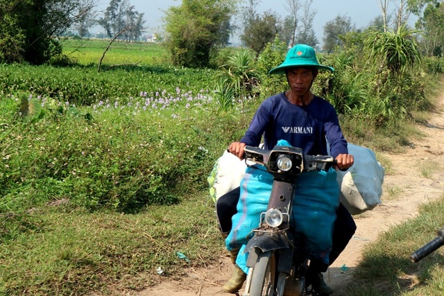 Dưa gang được mùa mất giá, dưa hấu hút hàng Dưa gang được mùa mất giá, dưa hấu hút hàng