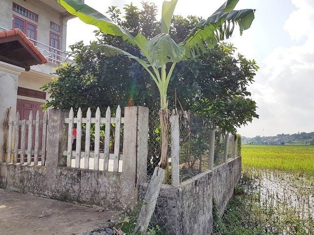 Ninh Bình: Xã “bất tuân lệnh” huyện, quyền lợi của gia đình liệt sỹ bị… bỏ rơi! - 5 Ninh Bình: Xã “bất tuân lệnh” huyện, quyền lợi của gia đình liệt sỹ bị… bỏ rơi! - 5