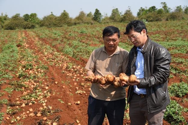 Lợi ích đa phương từ dự án Nông nghiệp bền vững của PepsiCo - 2 Lợi ích đa phương từ dự án Nông nghiệp bền vững của PepsiCo - 2