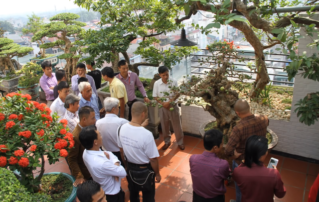 Choáng ngợp những vườn cây triệu đô độc nhất, vô nhị của đại gia Việt - 12 Choáng ngợp những vườn cây triệu đô độc nhất, vô nhị của đại gia Việt - 12