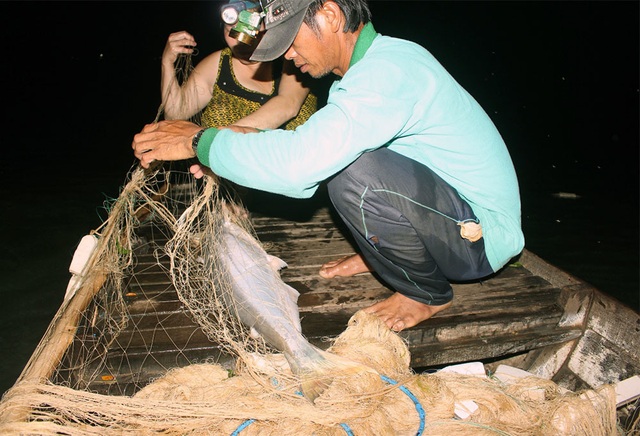 Nhân sâm nước của hiếm miền Tây: Cuộc đi săn trắng đêm - 1 Nhân sâm nước của hiếm miền Tây: Cuộc đi săn trắng đêm - 1