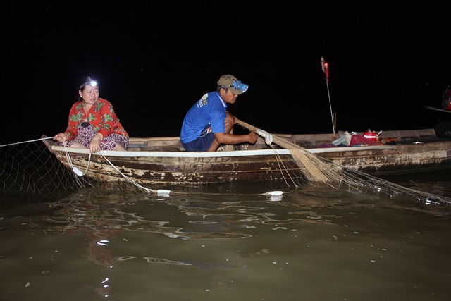 Nhân sâm nước của hiếm miền Tây: Cuộc đi săn trắng đêm - 3 Nhân sâm nước của hiếm miền Tây: Cuộc đi săn trắng đêm - 3