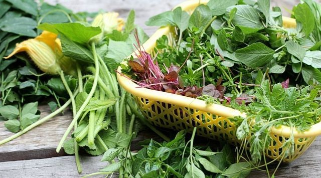 Sáu món ăn chị đại thời bao cấp nay trở thành đặc sản tuyệt ngon - 4 Sáu món ăn chị đại thời bao cấp nay trở thành đặc sản tuyệt ngon - 4