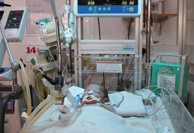 Xin hãy cứu bé trai kháu khỉnh vừa chào đời đã nguy kịch do nhiễm trùng uốn ván - 4 Xin hãy cứu bé trai kháu khỉnh vừa chào đời đã nguy kịch do nhiễm trùng uốn ván - 4